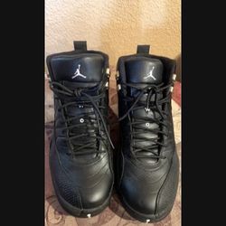 Jordan 12 The Master 