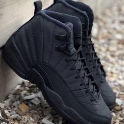 Jordan 12 