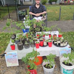 $1 Plant Sale!!! Today Only!! Open Till Dark! Hurry On Down