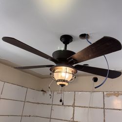 Fan