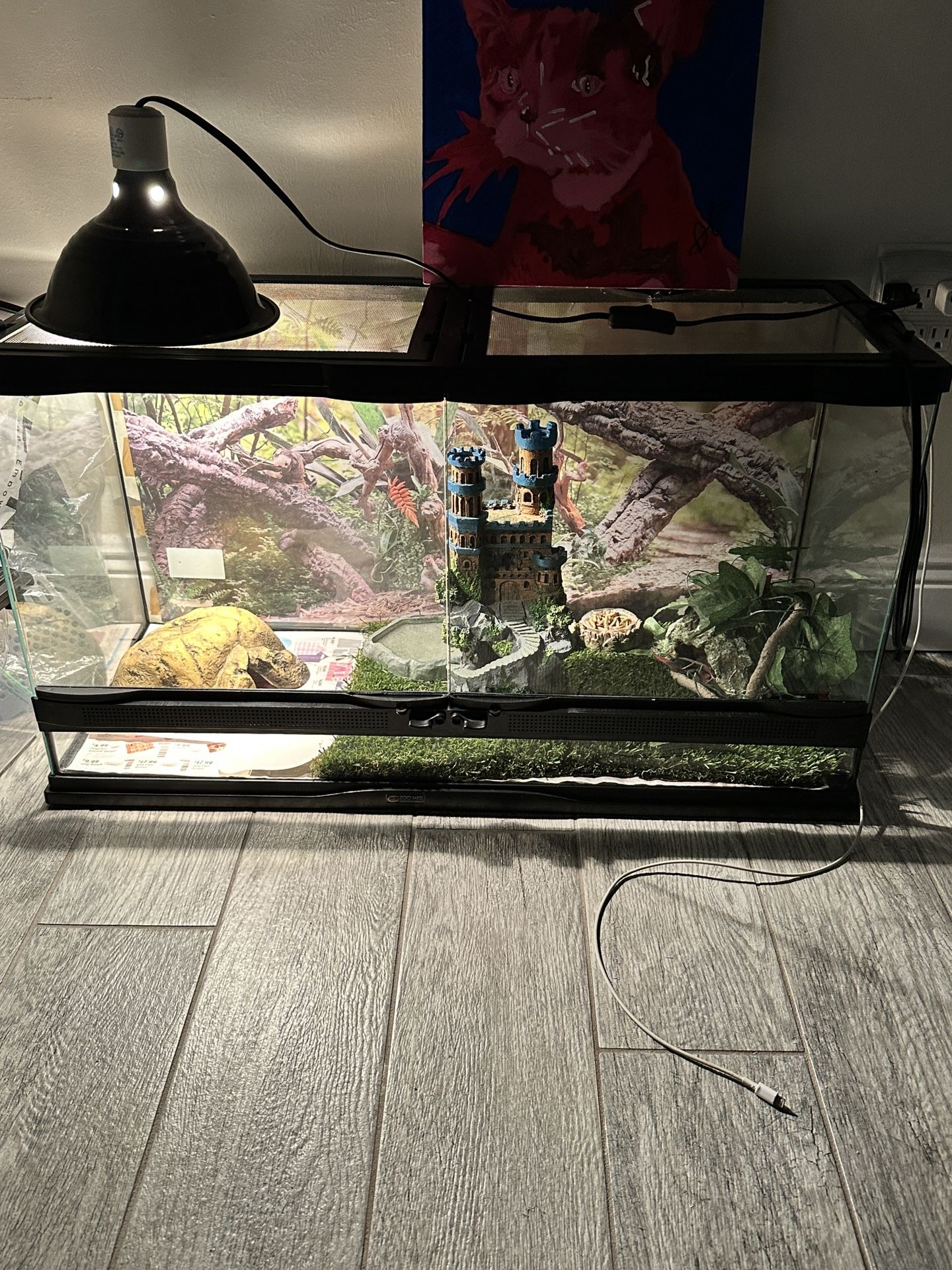 Reptile Tank