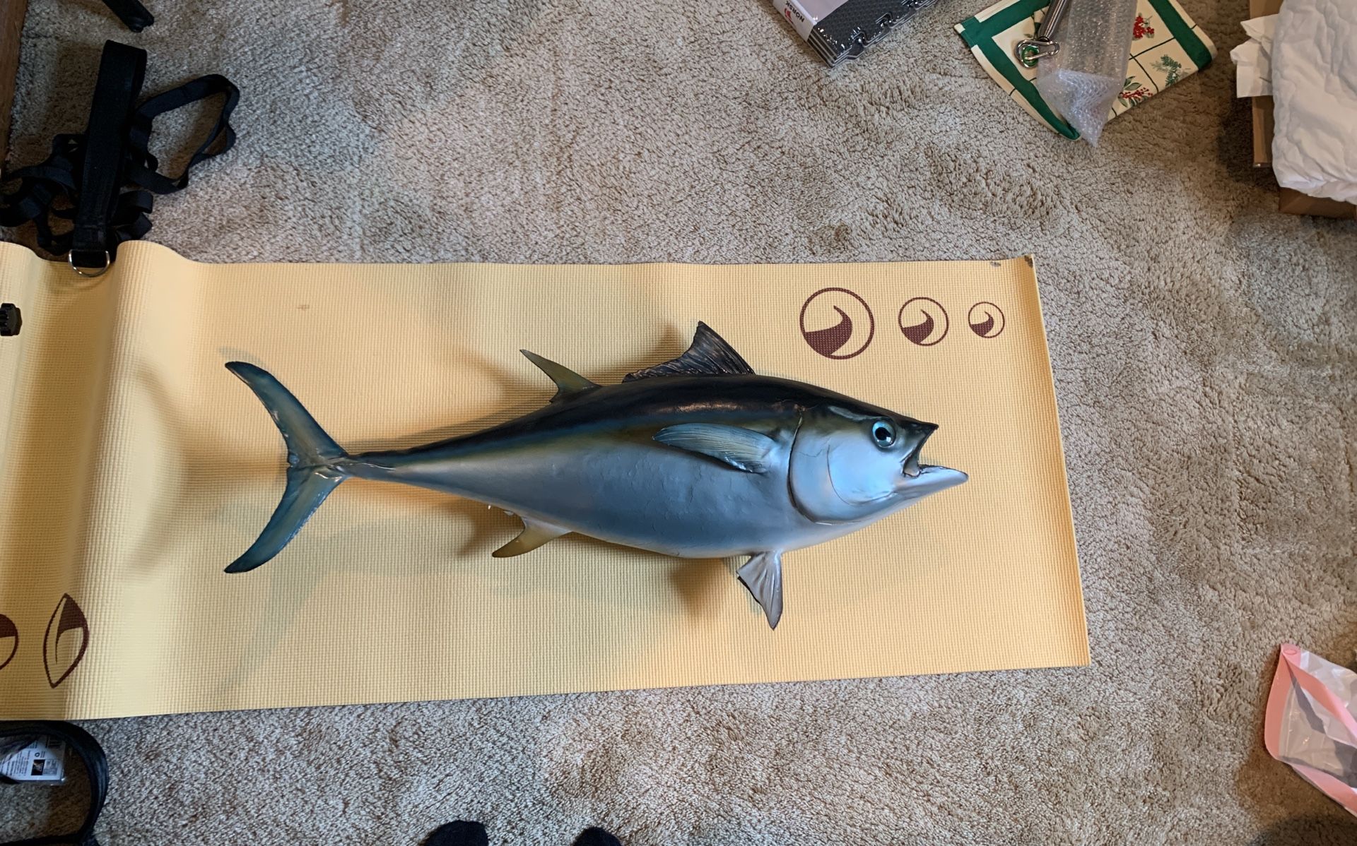 35in Blackfin Tuna