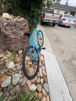 29” fixie
