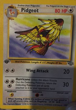 1st edition pokemon card pidgeot 24/64