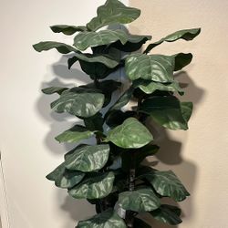 Artificial Fiddle Plant 