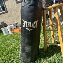 Everlast Punch Bag 60 Lbs. 