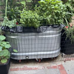 Behlen COUNTRY Galvanized steel Farm Tubs/ Raise Garden Bed