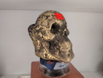 Hand cast metal skulls,brass or,aluminum