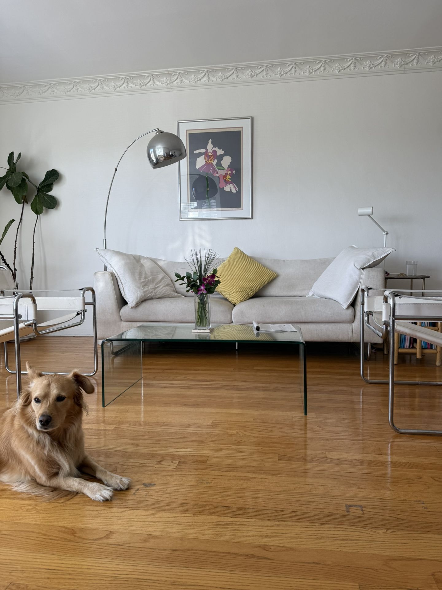 Free sofa