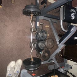 Gym Equipment 
