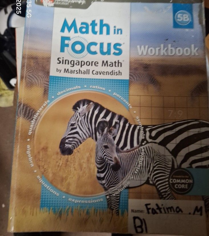 Math Focus Book
