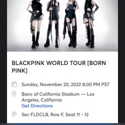 Blackpink Concert 11/20 
