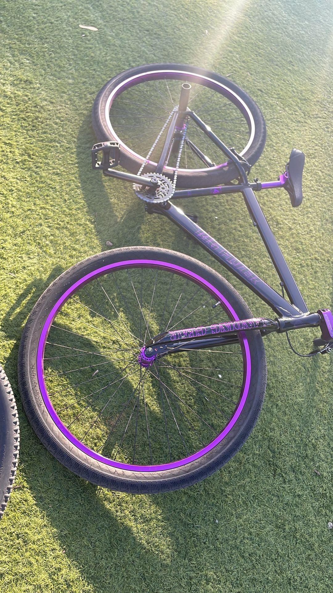 2024 Big Flyer Se Bike