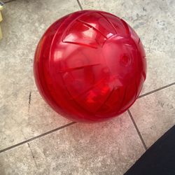 Hamster Ball 