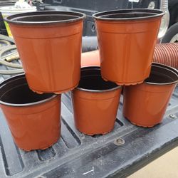 Botes Para Plantas 1g.