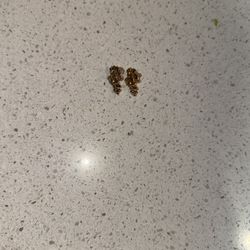 10k Gold Nugget Earrings