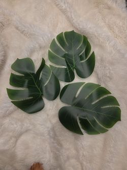 Leaves