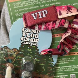 Camp flog gnaw VIP ticket 