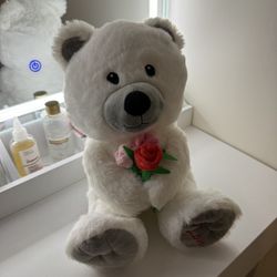 White Plush Teddy Bear