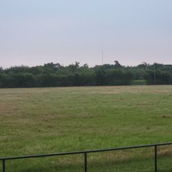 Coastal Hay Square Bales 45-50 Lbs. 