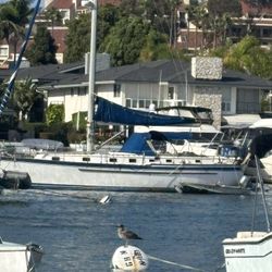 1984 Endeavor Bob Johnson