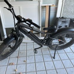 Electric Bike