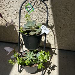 Double Succulent Metal Planter 