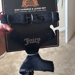 Dog Harness & Leash Set