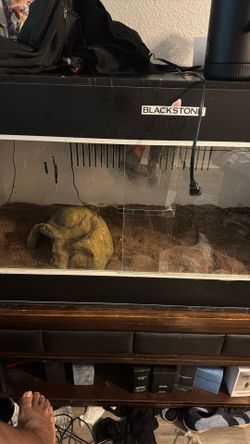Reptile enclosure