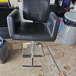 Salon Chair