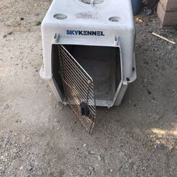 Petmate Sky Kettle 