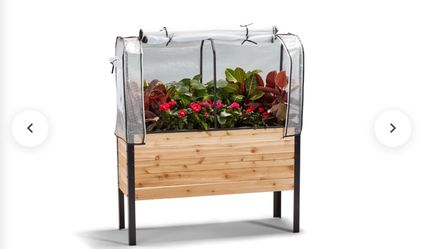 Green house