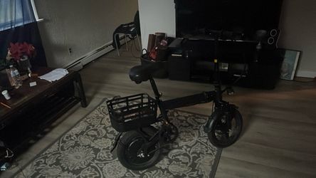Folding electric bike