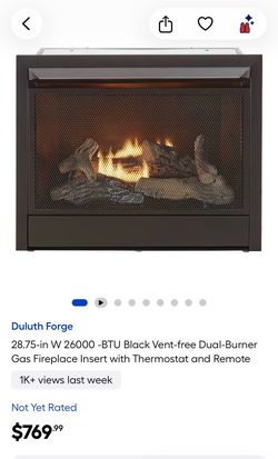 Duluth Forge Vent-Free Dual-Burner Gas Fireplace Insert