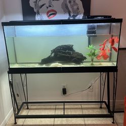 Fish Tank Aquarium With Extras 💥