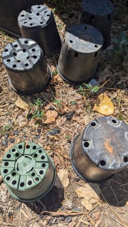 Mixed 6-Inch Nursery Gardening Pots
