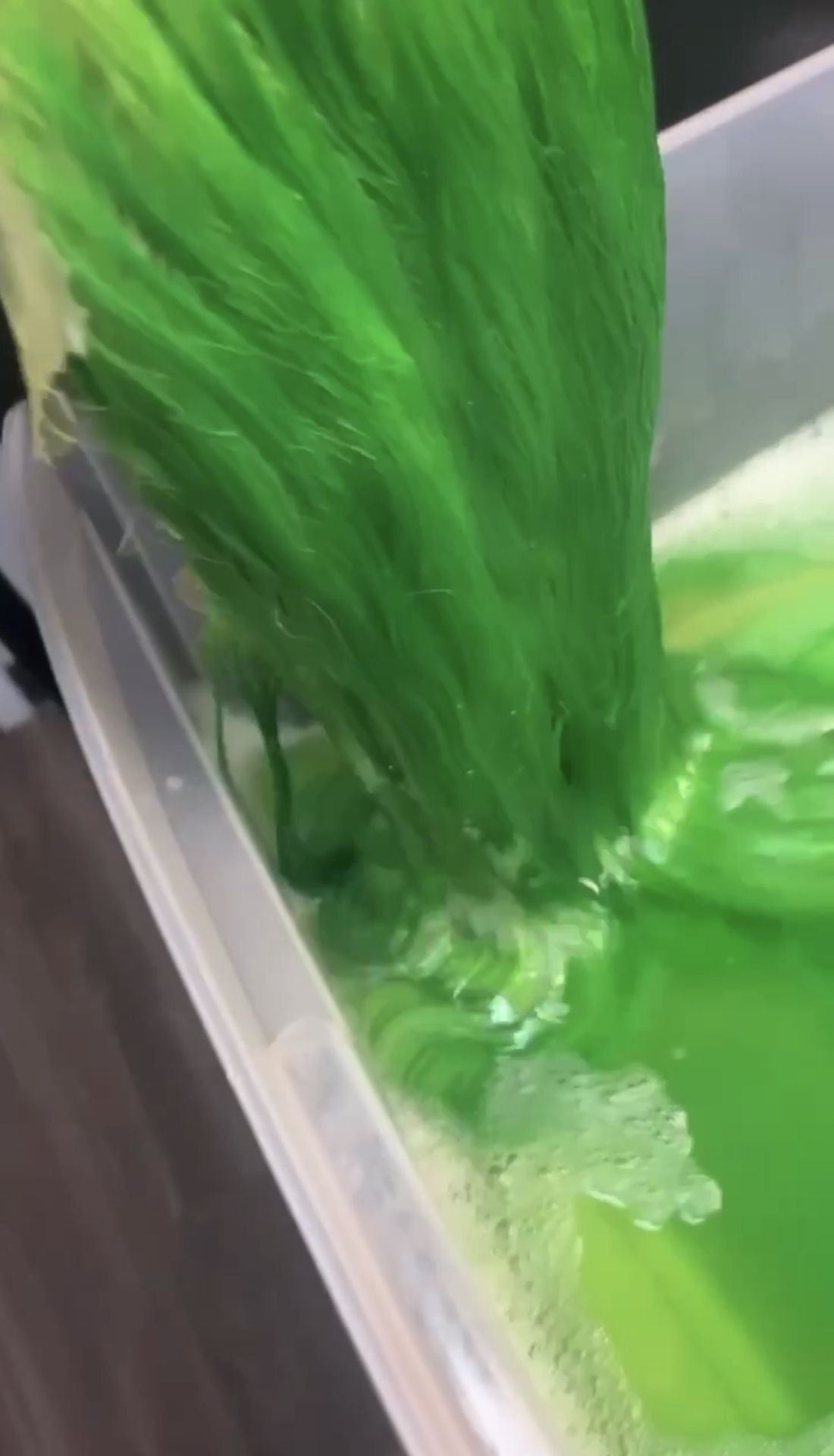 Green 30 Inch Frontal Wig