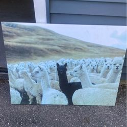 Canvas Wall Art