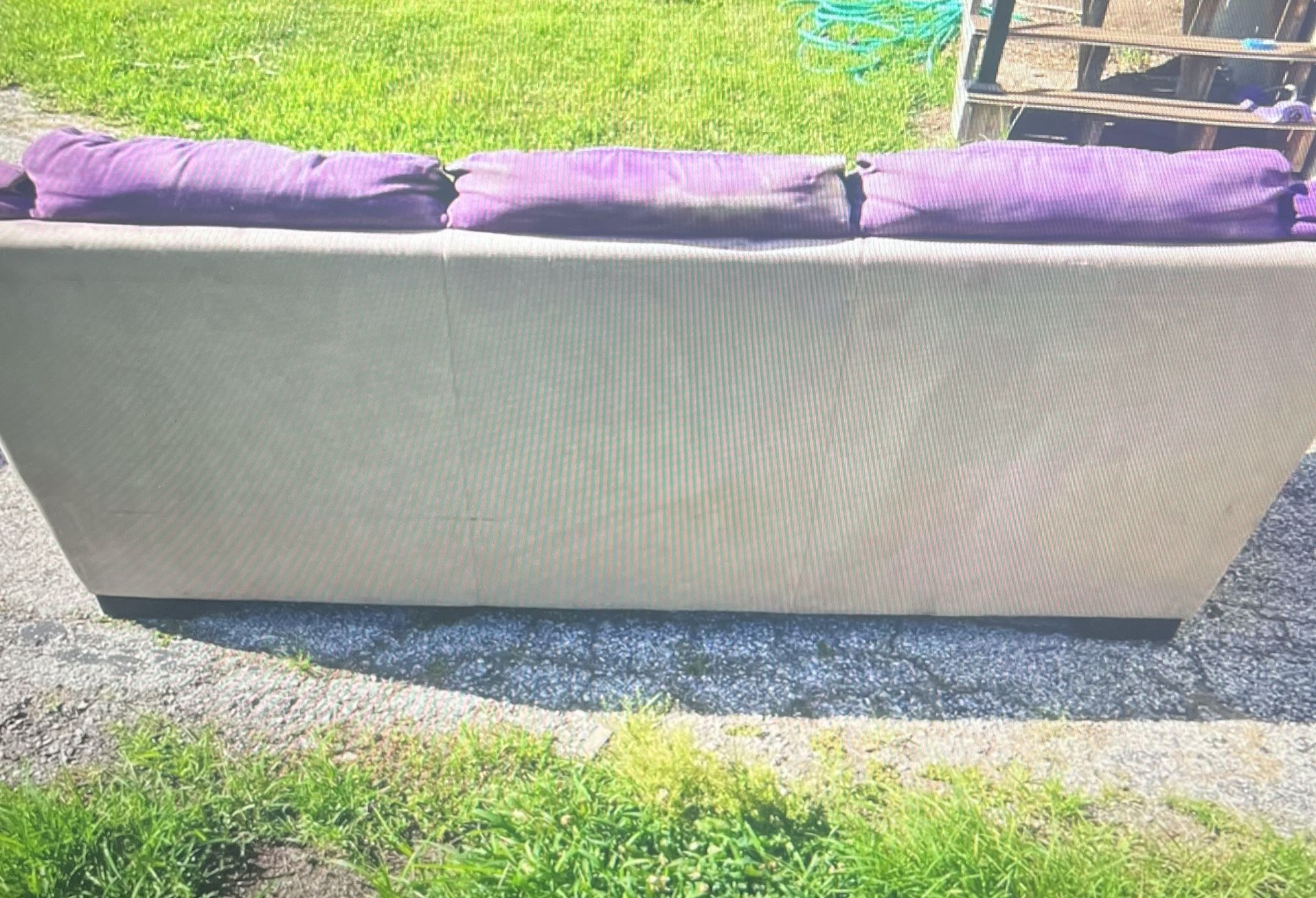 Purple Sofa