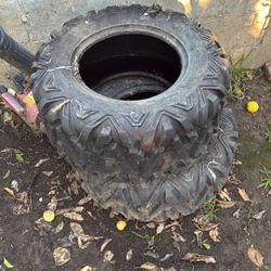 20 For All Three Of Them