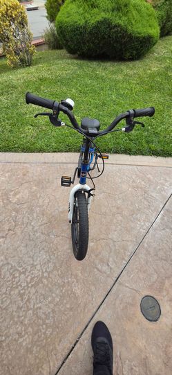 RoyalBaby BMX Bike