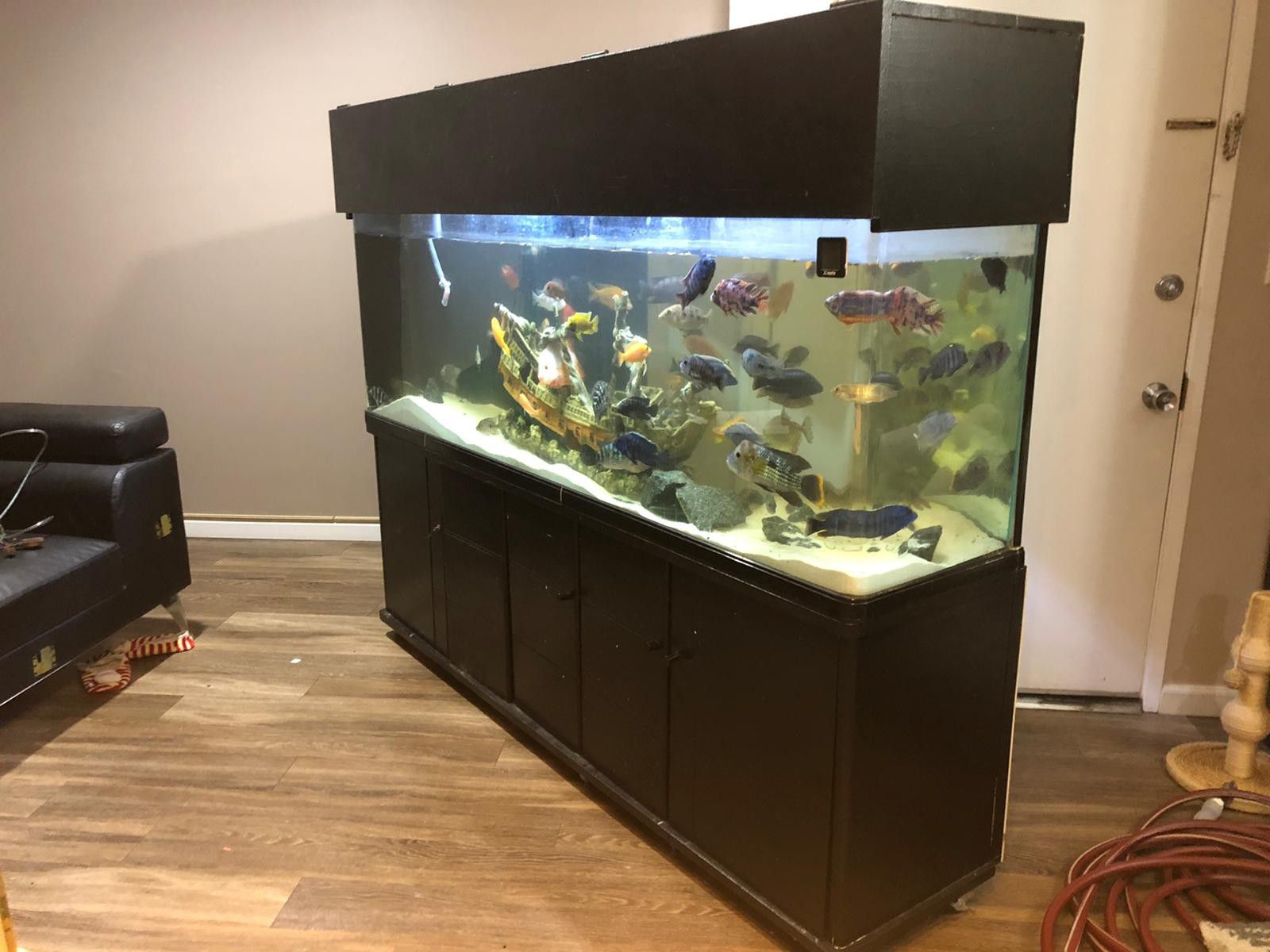 Fish tank aquarium 150gl ON Rollers