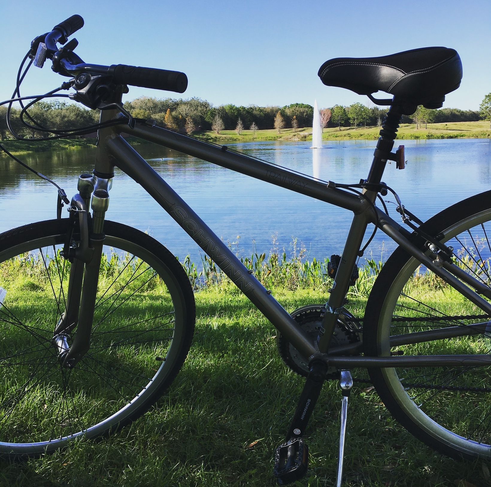 Adult Men's Hybrid Mountain Bike Schwinn