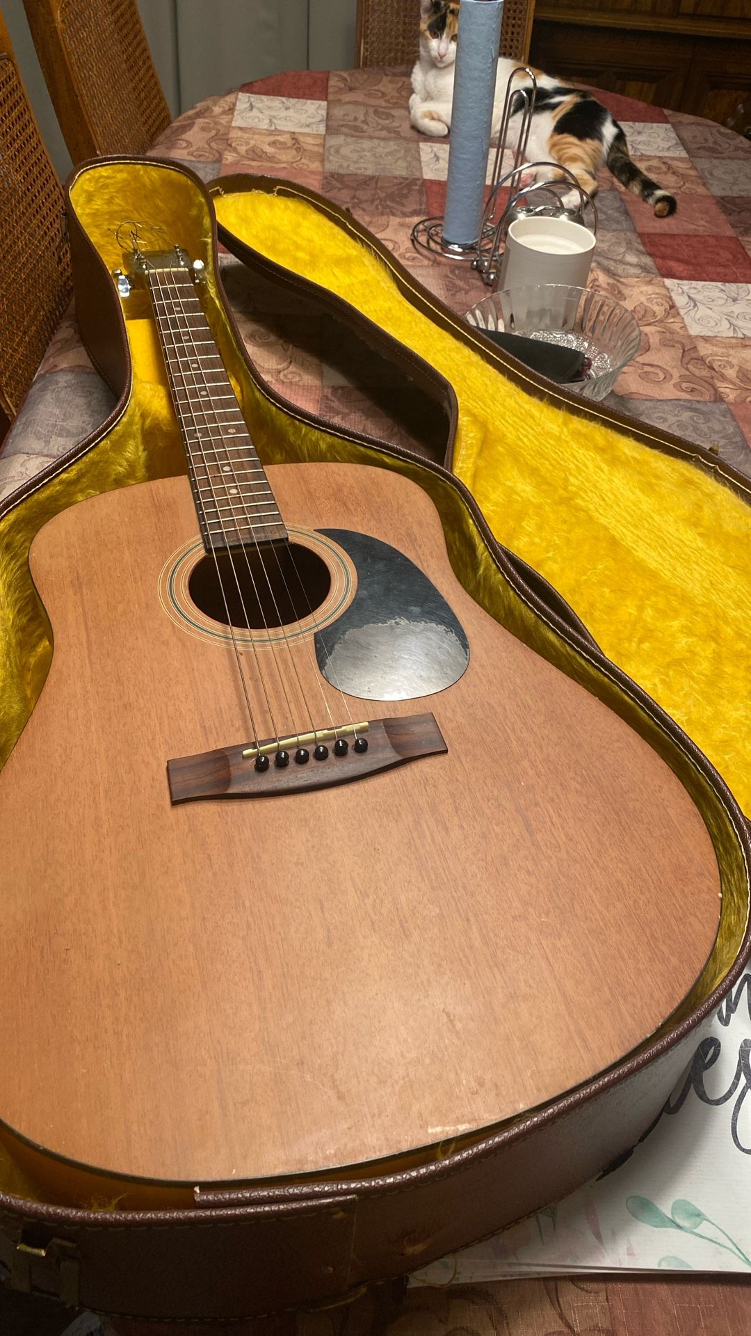 Bentley Guitar With Case