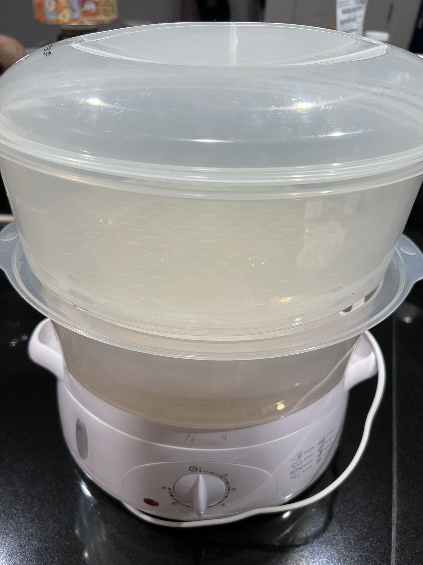 Rosewill electric steamer