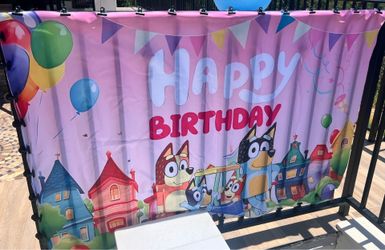 Bluey Birthday decorations