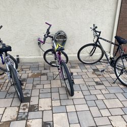 3 Mountain Bikes 