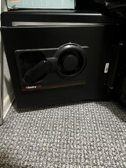 Sentry Safe