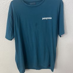 Patagonia Mens T shirt size XL green