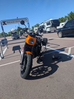 2024 Kawasaki Elimator
